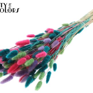 QC Gedroogde Hazenstaartjes Premium | Kleurrijk 7 | Kleur: Gemengde Kleuren | Lagurus Ovatus droogbloemen | Lengte ± 70 centimeter | Gewicht 100 gram | Per bos