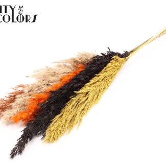 QC Gedroogde Pampas Pluimen “Autumn Mix” | Kleur: Gemengde Kleuren | Pampas Droogbloemen | Lengte ± 100 centimeter | 5 pluimen per bos | Per bos