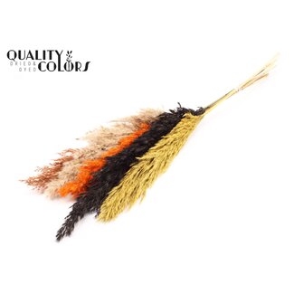 QC Getrocknete Pampaswedel „Herbstmischung“ | Farbe: Gemischte Farben | Pampas Trockenblumen | Länge ± 100 Zentimeter | 5 Wedel pro Bund | Pro Bund