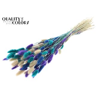 QC Dried Hare's Tails Premium | Scandinavian Mix | Colour: Mixed Colours | Lagurus Ovatus dried flowers | Length ± 70 centimetres | Weight 100 grams | Per bunch