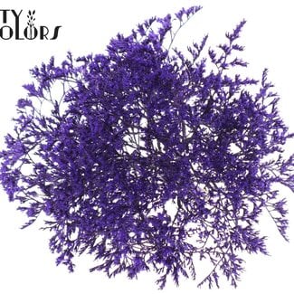 QC Lavande de mer séchée | Couleur : Violet | Fleurs séchées Limonium Tataricum | Longueur ± 30 cm | Poids 45 grammes | Par bouquet