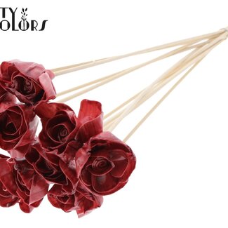 QC Shola Houten avec rose sur tige | Couleur : Bordeaux | Shola Dear Holly Pique-fleur | Diamètre de la rose 6 centimètres | Longueur du pique-fleur ± 50 centimètres | 10 piques-fleurs par bouquet