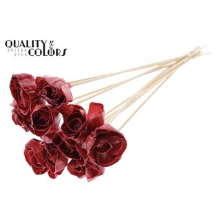 QC Shola Rozen met was op stok | Kleur: Bordeauxrood | Shola Dear Holly | Diameter 6 centimeter | Lengte  ± 50 centimeter | 10 bijstekers per bos | Per bos