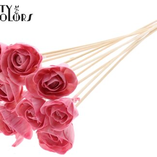 QC Shola Wood with Rose on Stick | Colour: Light Pink | Shola Dear Holly Pick | Rose Diameter 6 centimetres | Pick Length ± 50 centimetres | 10 picks per bunch