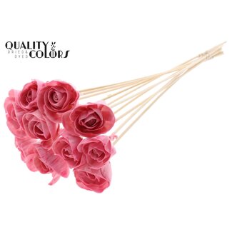 QC Shola Rose avec cire sur tige | Couleur: Rose clair | Shola Dear Holly | Diamètre 6 centimeter | Longueur  ± 50 centimeter | 10 piques d'appoint par bouquet | Par bouquet