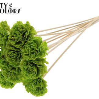 QC Shola Houten mit Karnish Blume auf Stiel | Farbe: Hellgrün | Shola Karnish Blumenstecker | Durchmesser Blume 6 Zentimeter | Länge Blumenstecker ± 50 Zentimeter | 10 Blumenstecker pro Bund