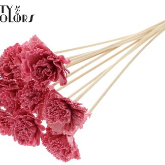 QC Shola Houten met was Karnish Bloem op stok | Kleur: Lichtroze | Shola Karnish Flower Bijsteker | Diameter bloem 6 centimeter | Lengte bijsteker ± 50 centimeter | 10 bijstekers per bos