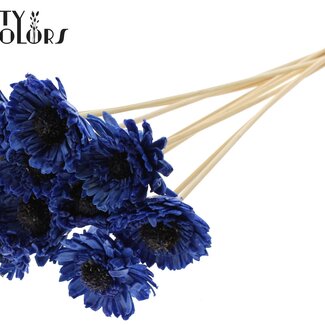 QC Shola Madelief Zonnebloem met was op stok | Kleur: Blauw | Shola Daisy Sunflower | Diameter 6 centimeter | Lengte ± 50 centimeter | 10 bijstekers per bos | Per bos