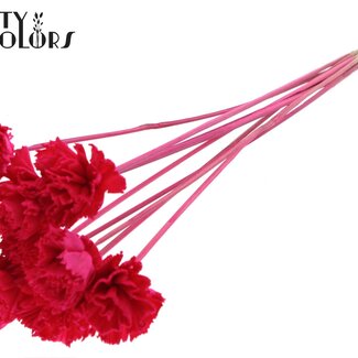 QC Shola Houten Karnish Bloem op stok | Kleur: Kerskleurig | Shola Karnish Flower Bijsteker | Diameter bloem 6 centimeter | Lengte bijsteker ± 50 centimeter | 10 bijstekers per bos