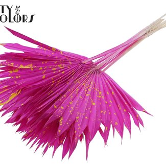 QC Getrocknete Palm Sun Spear | Farbe: Gesprenkelt Lila Gelb | Palmblätter in Fächerform | Länge ± 50 Zentimeter | 10 Zweige pro Bund | Pro Bund