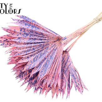 QC Gedroogde Palm Sun Spear | Kleur: Gespetterd Roze Milkapaars | Palmbladeren in Waaiervorm | Lengte ± 50 centimeter | 10 takken per bos | Per bos