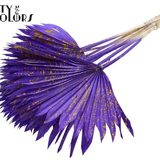 QC Gedroogde Palm Sun Spear | Kleur: Gespetterd Paars Geel | Palmbladeren in Waaiervorm | Lengte ± 50 centimeter | 10 takken per bos | Per bos