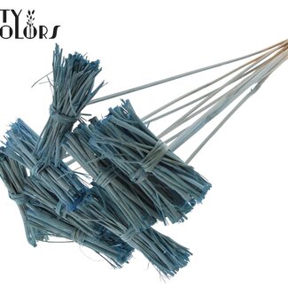 QC White Lady Posy on Stick | Colour: Frosted Light Blue | White Lady Posy Stick | Length ± 50 centimetres | 10 sticks per bunch