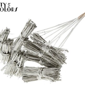 QC White Lady Petit Bouquet sur tige | Couleur : Platine | White Lady Pique-fleurs | Longueur ± 50 centimètres | 10 piques par bouquet