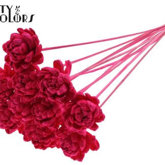 QC Shola Houten Rose sur tige | Couleur : Cerise | Shola New Beauty Rose Pique-fleurs | Diamètre de la rose 6 centimètres | Longueur du pique-fleurs ± 50 centimètres | 10 pique-fleurs par bouquet