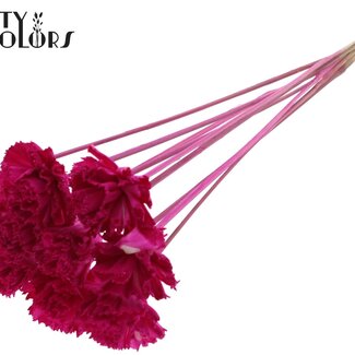 QC Shola Karnish Blume am Stiel | Farbe: lilafarbig | Durchmesser 6 centimeter | Länge ± 50 centimeter | 10 Beistecker pro Bund | Pro Bund