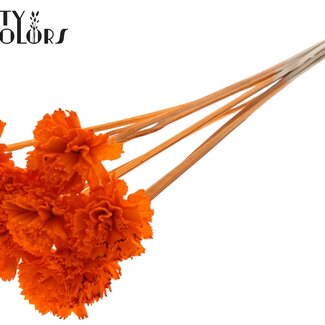 QC Shola Wooden Carnation Flower on stick | Colour: Orange | Shola Carnation Flower Stake | Flower diameter 6 centimetres | Stake length ± 50 centimetres | 10 stakes per bunch