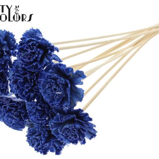 QC Shola Houten avec était Karnish Bloem sur bâton | Couleur : Bleu | Shola Karnish Fleur Piquet | Diamètre fleur 6 centimètres | Longueur piquet ± 50 centimètres | 10 piquets par bouquet