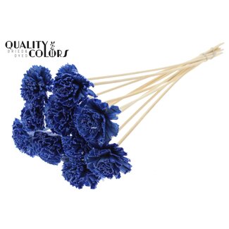 QC Shola Karnish Bloem met was op stok | Kleur: Blauw | Diameter 6 centimeter | Lengte ± 50 centimeter | 10 bijstekers per bos | Per bos