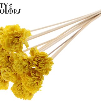 QC Shola Karnish Blume mit Wachs auf Stiel | Farbe: Gelb | Durchmesser 6 centimeter | Länge ± 50 centimeter | 10 Stecker pro Bund | Pro Bund
