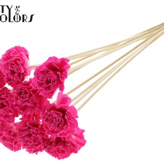 QC Shola Houten with was Karnish Flower on stick | Colour: Cherry-coloured | Shola Karnish Flower Stick | Flower diameter 6 centimetres | Stick length ± 50 centimetres | 10 sticks per bunch
