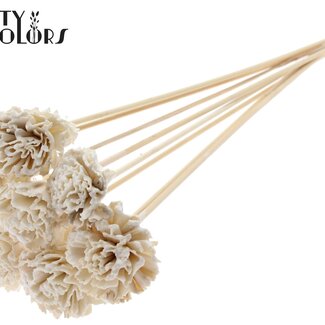 QC Shola Houten met was Karnish Bloem op stok | Kleur: Wit | Shola Karnish Flower Bijsteker | Diameter bloem 6 centimeter | Lengte bijsteker ± 50 centimeter | 10 bijstekers per bos