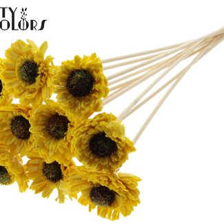 QC Shola Houten avec Madelief Zonnebloem sur tige | Couleur : Jaune | Shola Daisy Tournesol Pique-fleur | Diamètre de la fleur 6 centimètres | Longueur du pique-fleur ± 50 centimètres | 10 piques-fleurs par bouquet