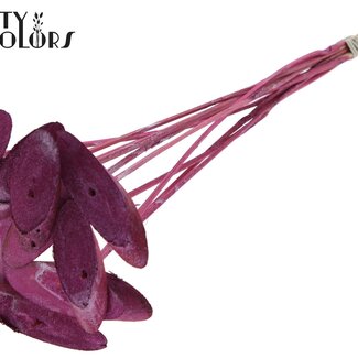 QC Rondelle de Bois Ovale sur Tige | Couleur : Rose Métallique | Rondelle de Bois Décorative | Diamètre 5 - 7 centimètres | Longueur ± 50 centimètres | 10 décorations par bouquet | Par bouquet