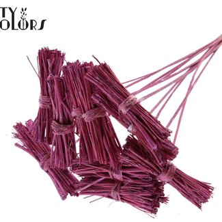 QC White Lady Boeketje op stok | Kleur: Metallic Roze | White Lady Posy Bijsteker | Lengte ± 50 centimeter | 10 bijstekers per bos