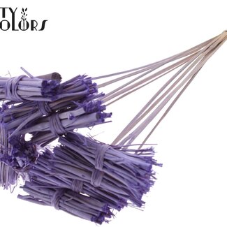 QC White Lady Petit bouquet sur tige | Couleur : Lait givré violet | White Lady Pique-fleurs | Longueur ± 50 centimètres | 10 piques-fleurs par bouquet