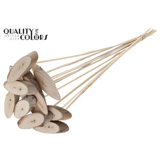 QC Oval Wooden Disc on Stick | Colour: Natural Light Brown | Wooden Disc Insert | Diameter 5 - 7 centimetres | Length ± 50 centimetres | 10 inserts per bunch | Per bunch