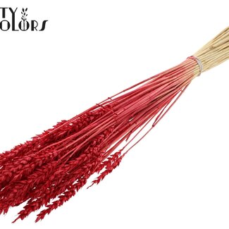 QC Dried Bleached Wheat | Colour: Red | Triticum Dried Flowers | Length ± 60 centimetres | Weight 100 grams | Per bunch