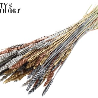 QC Gedroogde Tarwe “Metallic Marmer Mix” | Kleur: Gemengde Kleuren | Triticum Droogbloemen | Lengte ± 60 centimeter | Gewicht 220 gram | Per bos