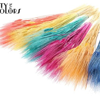 QC Blé Barbu Séché Blanchi | Couleur : Couleurs Mixtes | Triticum Barbu Fleurs Séchées | Longueur ± 70 centimètres | Poids 150 grammes | Par bouquet