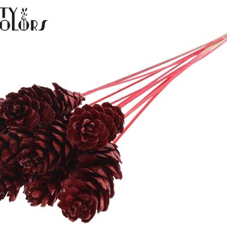 QC Strobus Dennenappel op stok | Kleur: Rood | Dennenappel Bijsteker | Lengte ± 50 centimeter | 10 bijstekers per bos