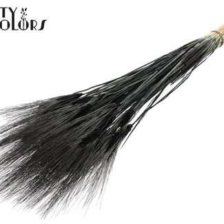 QC Gedroogde Gebleekte Baardtarwe | Kleur: Zwart | Triticum Beard Droogbloemen | Lengte ± 70 centimeter | Gewicht 150 gram | Per bos