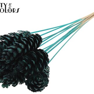 QC Strobus Dennenappel op stok | Kleur: Turquoise | Dennenappel Bijsteker | Lengte ± 50 centimeter | 10 bijstekers per bos