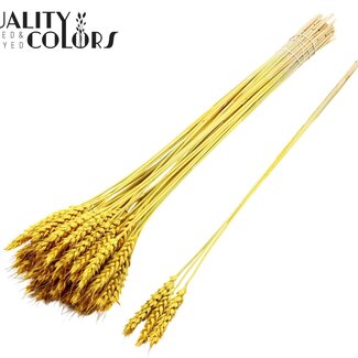 QC Getrockneter Weizen | Farbe: Gelb | Triticum Trockenblumen | Länge ± 55 Zentimeter | 3 Zweige pro Bündel | 25 Bündel pro Strauß | Pro Strauß