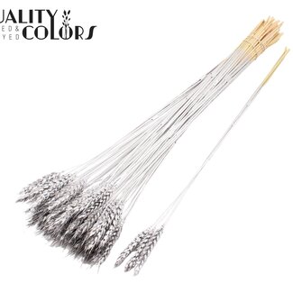 QC Dried Wheat | Colour: Silver | Triticum Dried Flowers | Length ± 55 centimetres | 3 sprigs per bunch | 25 bunches per bouquet | Per bouquet