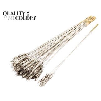 QC Getrockneter Weizen | Farbe: Platinfarben | Triticum Trockenblumen | Länge ± 55 Zentimeter | 3 Zweige pro Bündel | 25 Bündel pro Strauß | Pro Strauß