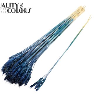 QC Blé Séché | Couleur : Bleu Foncé | Triticum Fleurs Séchées | Longueur ± 55 centimètres | 3 brins par bouquet | 25 bouquets par botte | Par botte