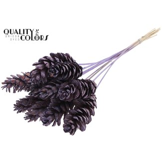 QC Strobus Pine Cone on Stick | Colour: Frosted Milkapurple | Pine Cone Pick | Length ± 50 centimetres | 10 picks per bunch