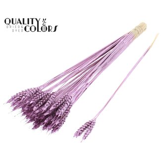 QC Getrockneter Weizen | Farbe: Metallic Rosa | Triticum Trockenblumen | Länge ± 55 Zentimeter | 3 Zweige pro Bündel | 25 Bündel pro Strauß | Pro Strauß