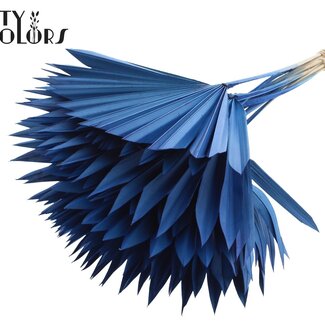 QC Dried Palm Sun Spear | Colour: Blue | Fan-Shaped Palm Leaves | Length ± 50 centimetres | 10 stems per bunch | Per bunch