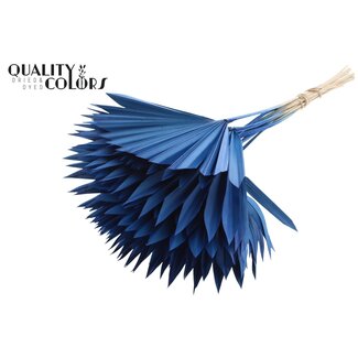 QC Dried Palm Sun Spear | Colour: Blue | Fan-Shaped Palm Leaves | Length ± 50 centimetres | 10 stems per bunch | Per bunch