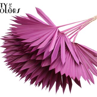 QC Dried Palm Sun Spear | Colour: Lilac | Fan-shaped Palm Leaves | Length ± 50 centimetres | 10 stems per bunch | Per bunch