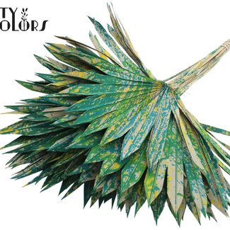 QC Palm Sun Spear Séché | Couleur : Vert Multicolore | Feuilles de Palmier en Forme d'Éventail | Longueur ± 50 centimètres | 10 branches par bouquet | Par bouquet