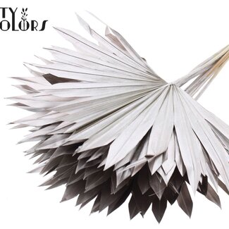 QC Gedroogde Palm Sun Spear | Kleur: Champagnekleurig | Palmbladeren in Waaiervorm | Lengte ± 50 centimeter | 10 takken per bos | Per bos