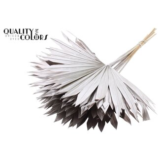 QC Gedroogde Palm Sun Spear | Kleur: Champagnekleurig | Palmbladeren in Waaiervorm | Lengte ± 50 centimeter | 10 takken per bos | Per bos
