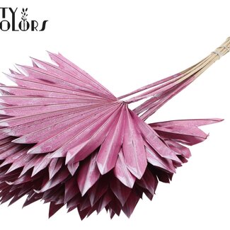 QC Getrocknete Palm Sun Spear | Farbe: Metallic Rosa | Palmblätter in Fächerform | Länge ± 50 Zentimeter | 10 Stiele pro Bund | Pro Bund